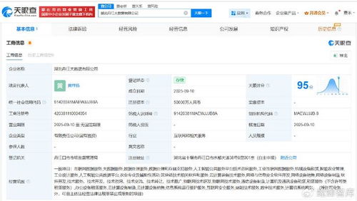 湖北丹江大數據公司成立，5億注冊資本瞄準數據處理服務新藍海